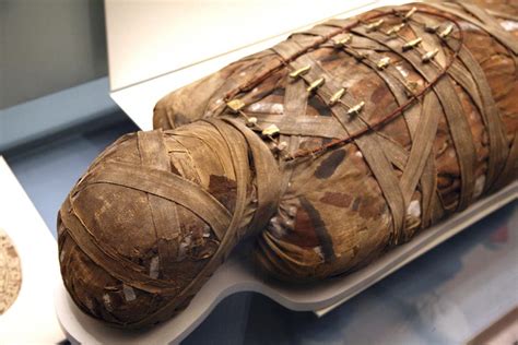 The relentless curse of the mummified remains